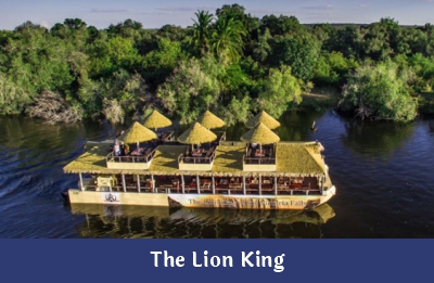 The Lion King – Ndope Travel and Tours